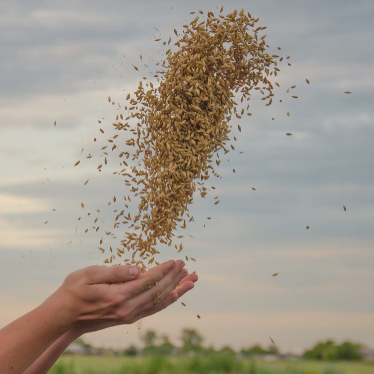 How Does Scatter/Gather Work?