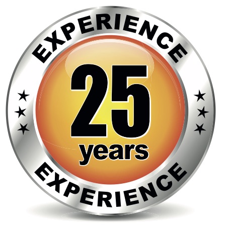 Safety-Critical Systems