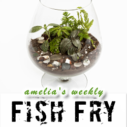 One Ecosystem to Rule Them All