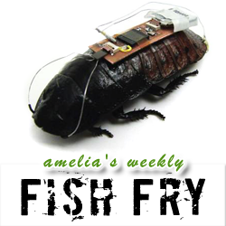 Biobots, Raspberry Pi, and Design Verification