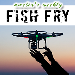 IC Imagination and Dreaming in Drones