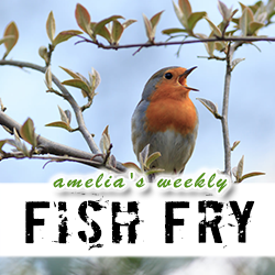 A Chirp By Any Other Name Just Wouldn’t Be The Same